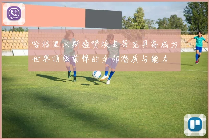 哈格里夫斯盛赞埃基蒂克具备成为世界顶级前锋的全部潜质与能力