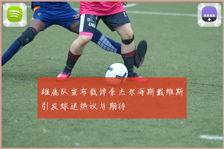 雄鹿队宣布裁掉奈杰尔海斯戴维斯引发球迷热议与期待